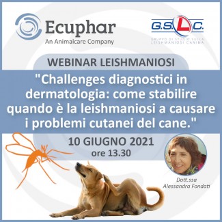Secondo appuntamento di Webinar Live sulla Leishmaniosi canina anno 2021